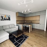 Do wynajęcia apartament Dostępny do oglądania!