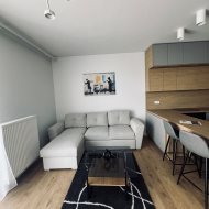 Do wynajęcia apartament Dostępny do oglądania!